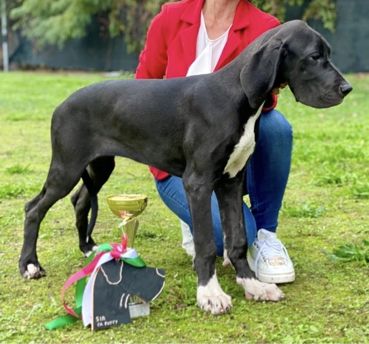 <p>
  <img decoding=