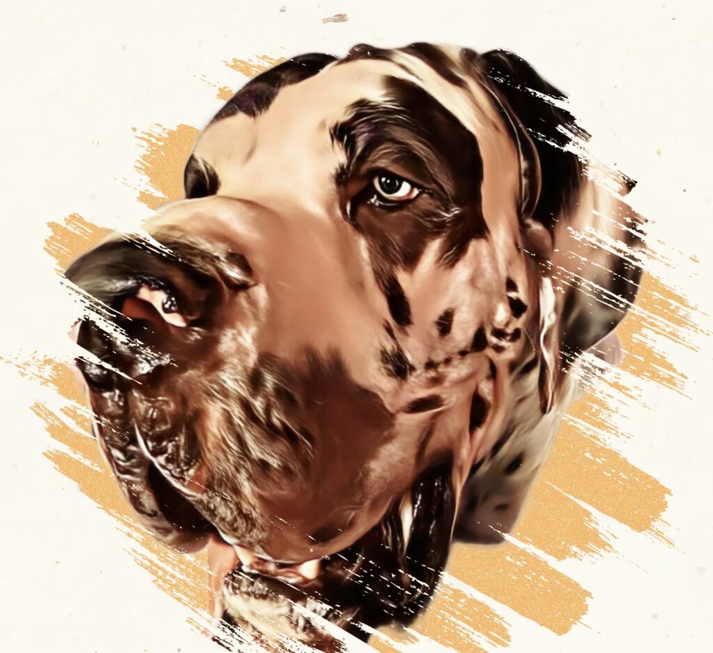 <p>
  <img fetchpriority=