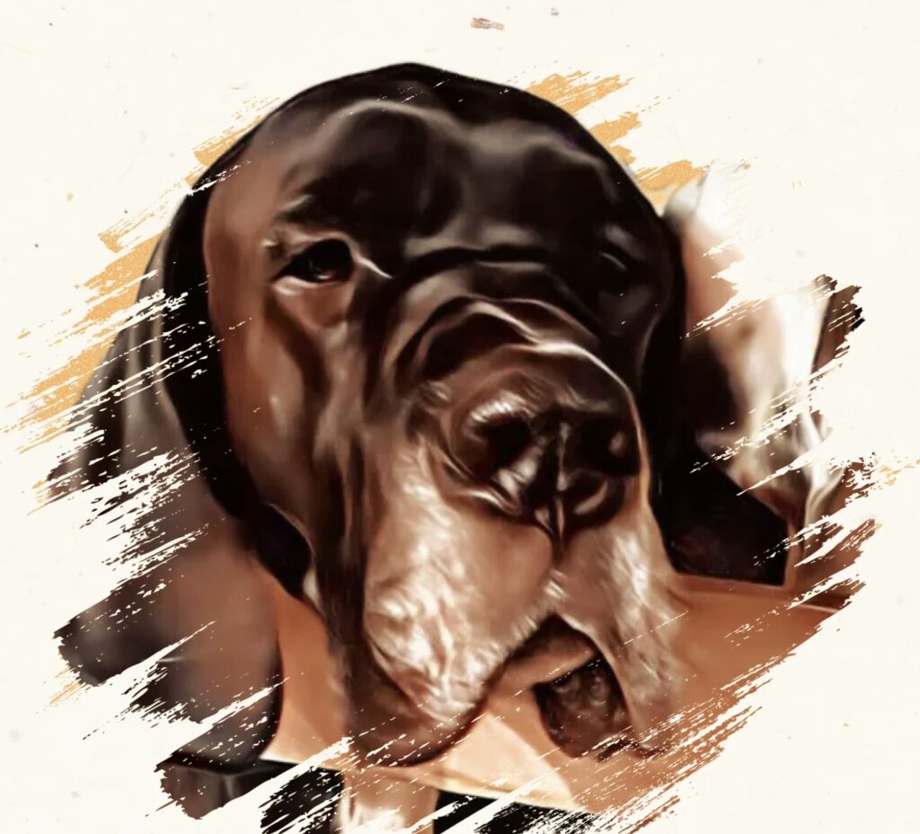 <p>
  <img fetchpriority=