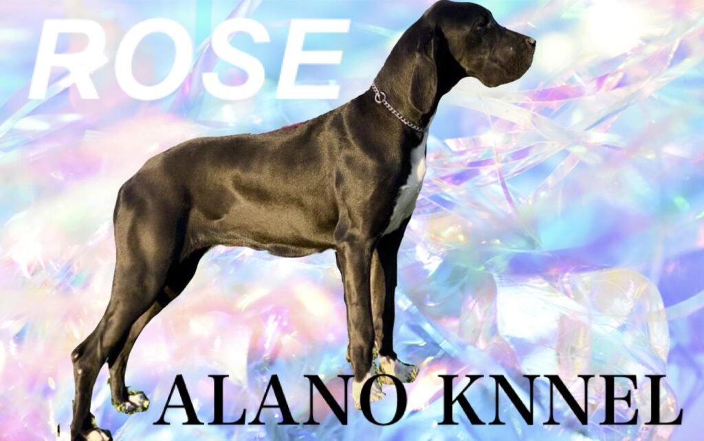 <p>
  <img decoding=