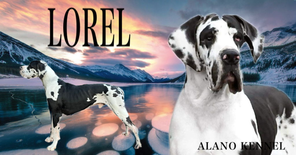 <p>
  <img decoding=